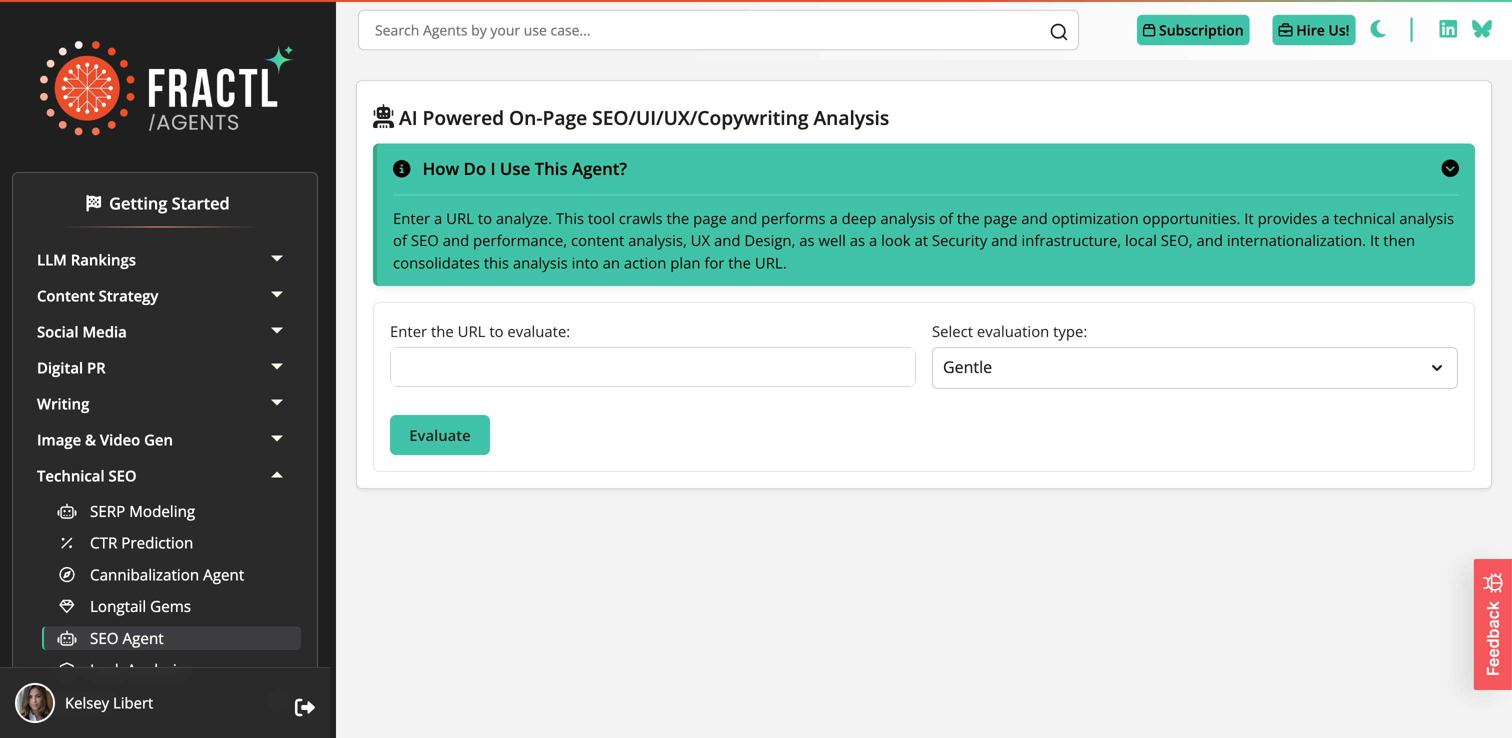 SEO Audit Agent Interface